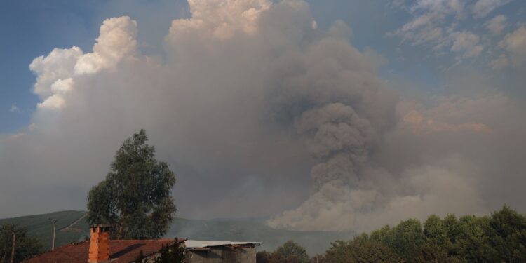 La circulación ferroviaria entre Galicia y Madrid continúa suspendida por los incendios