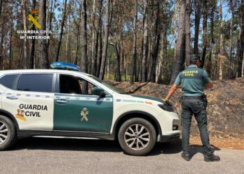 Detenido un hombre (investigado por hasta 12 fuegos) por otro presunto delito de incendio forestal