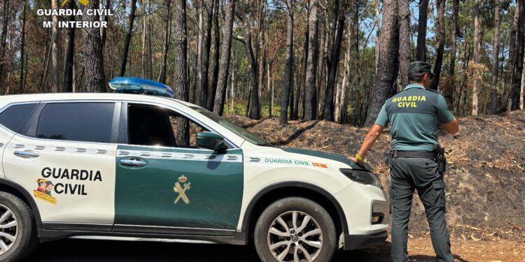Detenido un hombre (investigado por hasta 12 fuegos) por otro presunto delito de incendio forestal