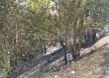 La Guardia Civil de Pontevedra detiene a un hombre en Poio como presunto autor de un incendio