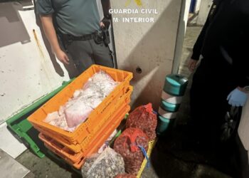 Despliegue policial en el puente internacional, donde se incautó pescado ilegal, tabaco, drogas y un arma
