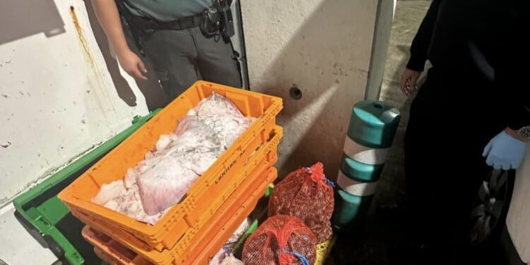 Despliegue policial en el puente internacional, donde se incautó pescado ilegal, tabaco, drogas y un arma