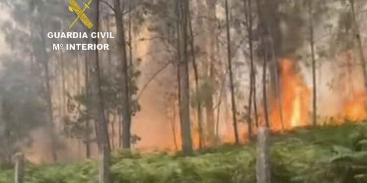La Guardia Civil de Tui investiga a dos personas en Salvaterra por un presunto delito de incendio forestal