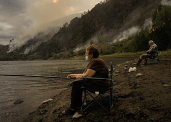 La Xunta aprueba los fondos para reconstruir las viviendas y viñas afectadas por los incendios