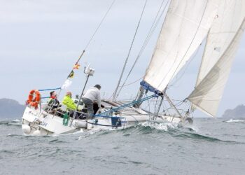 Las orcas modifican el trazado de la V Regata Costa da Vela NB21