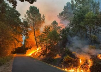 Nueva ola de calor a la vista con riesgo extremo de incendio en 30 municipios de Ourense y uno del Baixo Miño