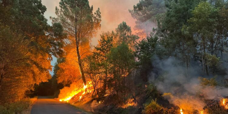 Nueva ola de calor a la vista con riesgo extremo de incendio en 30 municipios de Ourense y uno del Baixo Miño