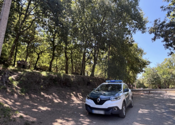 Rápida intervención en Vigo tras aparecer humo en un parque forestal que resultó ser una barbacoa