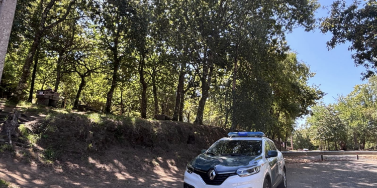 Rápida intervención en Vigo tras aparecer humo en un parque forestal que resultó ser una barbacoa