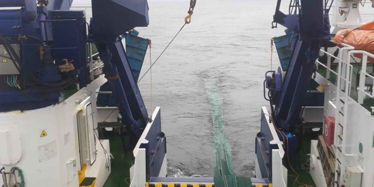 Científicos de España y Portugal estudian la abundancia de juveniles de sardina en la costa atlántica