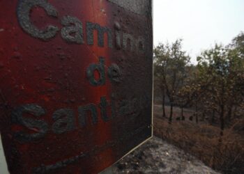 Incendios forestales: el fuego avanza sin control en Ourense y Galicia suma cinco días sin tren con Madrid