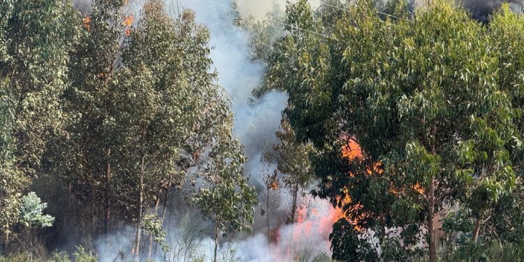 Desactivado el nivel 2 en el incendio de Vilaboa, que ya ha calcinado 60 hectáreas