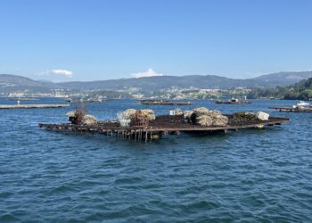 Las toxinas «cogen fuerza» en las rías gallegas y alcanzan también Vigo