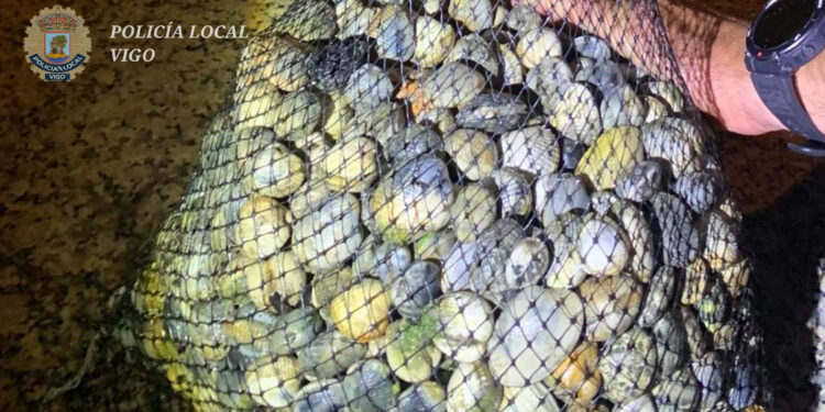 Pillan en Vigo con más de 9 kilos de marisco a 4 mujeres que se «desenvolvían con soltura» como furtivas
