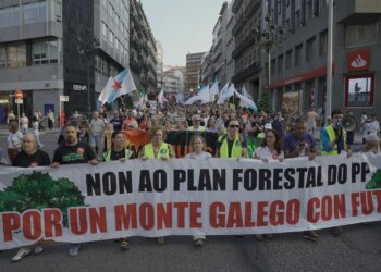 Cientos de manifestantes reclaman en Vigo un «monte libre de incendios»