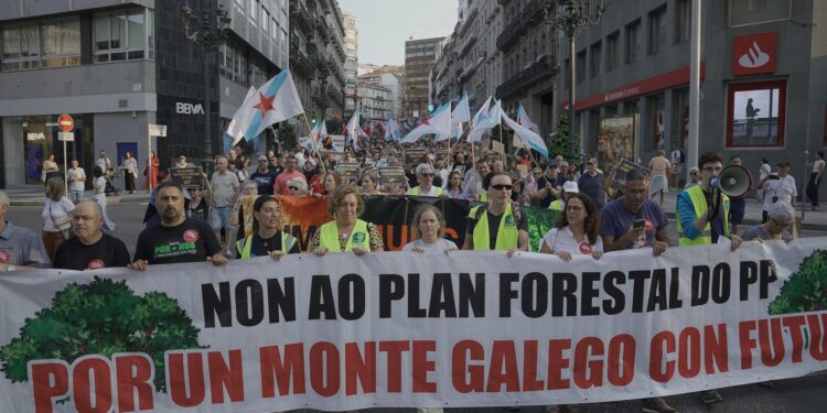 Cientos de manifestantes reclaman en Vigo un «monte libre de incendios»