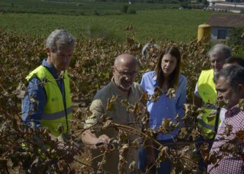 Rueda, tras las concentraciones por los fuegos: «Algunos estuvieron de vacaciones como si no hubiera incendios»
