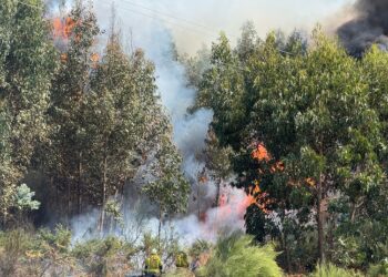 Extinguido el fuego de Oia y estabilizado el de Santa Cristina; Casaio alcanza las 4.000 hectáreas