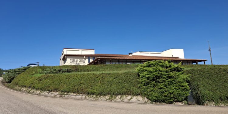 Fin de la vendimia, comienza la magia