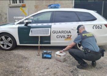 Investigan a un vecino de Tomiño por un hurto en una explotación ganadera