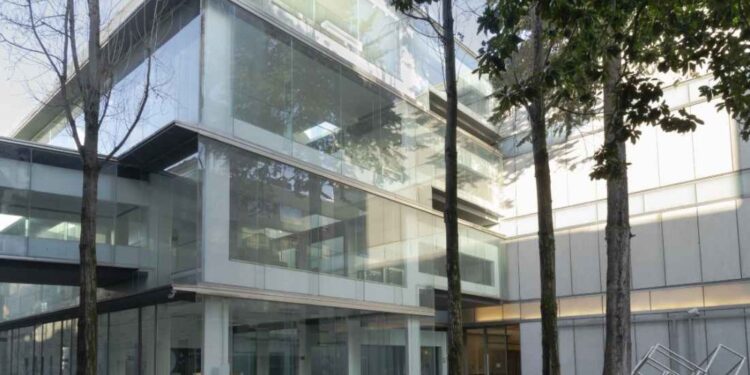 El Museo de Pontevedra, joya gallega de la cultura, busca nuevo director en un proceso abierto