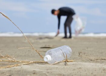 Redes de España teje un futuro sostenible e igualitario en la Ría de Vigo