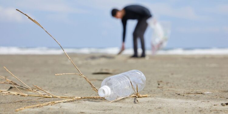 Redes de España teje un futuro sostenible e igualitario en la Ría de Vigo