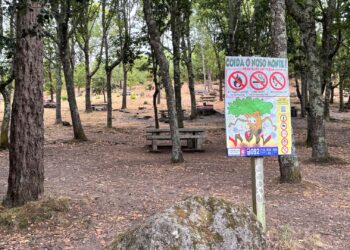 Cuidando los montes de Vigo