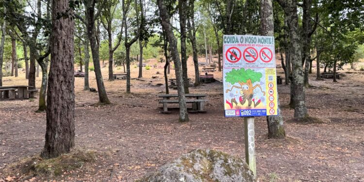 Cuidando los montes de Vigo