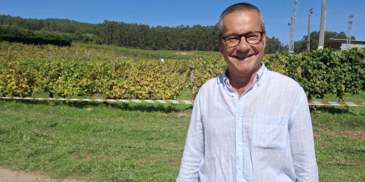 Fin de la vendimia, comienza la magia