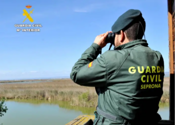 Incautan 6.000 kilos de uva sin documentación y procedentes de Portugal