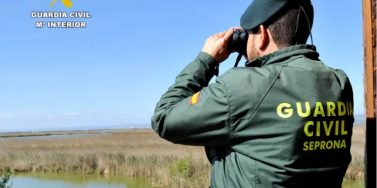 Incautan 6.000 kilos de uva sin documentación y procedentes de Portugal