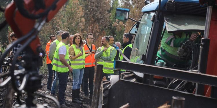 Augas de Galicia trabaja en Cobres para evitar el arrastre de cenizas a ríos