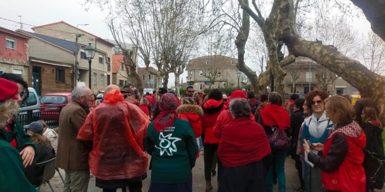 Plataforma Salvemos a Barroca se moviliza contra la tala de robles en Navia