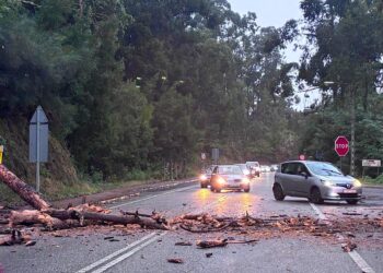 Un árbol caído, obras, lluvia y colegios: la tormenta perfecta en Camposancos