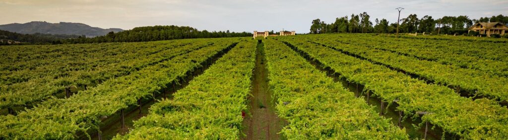 Bodegas-La-Val