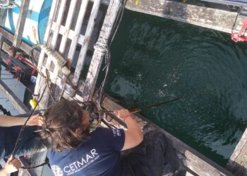 Una «batea centinela» para investigar el cultivo del mejillón en las rías gallegas