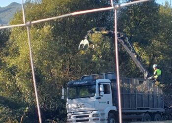 Vecinos de Navia logran «paralizar» la tala de carballos dentro de las obras del Plan Parcial