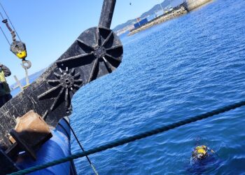 Enaleia y Allianz activan una gran limpieza submarina en el Puerto de Vigo