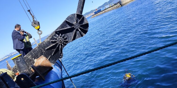 Enaleia y Allianz activan una gran limpieza submarina en el Puerto de Vigo