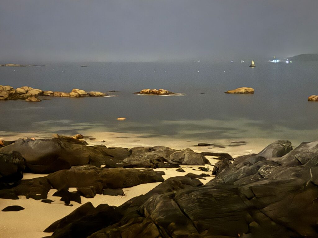 La noche de Vigo brilla en otoño a la orilla de su Ría: de Bouzas a Canido
