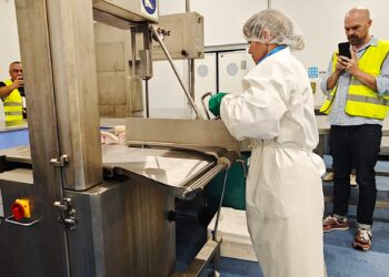 Los tacos y hamburguesas de pez espada de A Guarda, directos a los supermercados de toda España