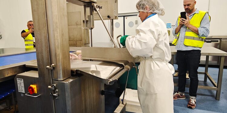 Los tacos y hamburguesas de pez espada de A Guarda, directos a los supermercados de toda España