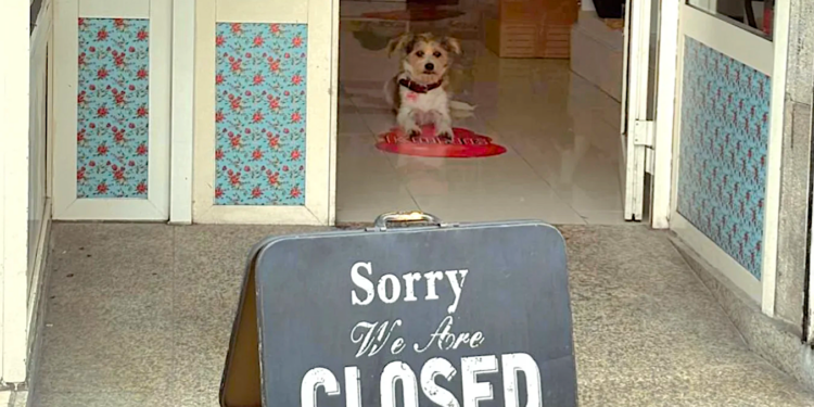 Juanita y Ana, pareja referente en el universo canino de Vigo, dicen adiós