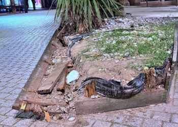 Falta de mantenimiento en la Praza da Independencia