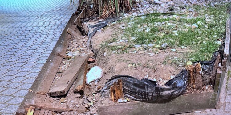 Falta de mantenimiento en la Praza da Independencia