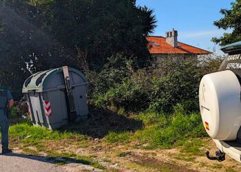 Investigan a una vecina de Cangas por tirar gatos a la basura