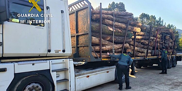 Detenidos por robar árboles recién talados que se llevaban en un camión