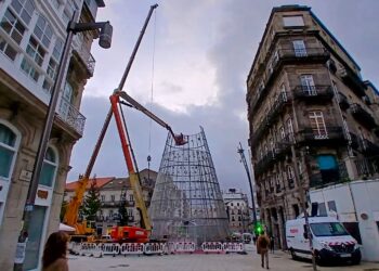 El árbol de Navidad, en el ecuador de su viaje hacia el cielo