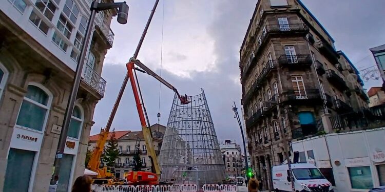 El árbol de Navidad, en el ecuador de su viaje hacia el cielo